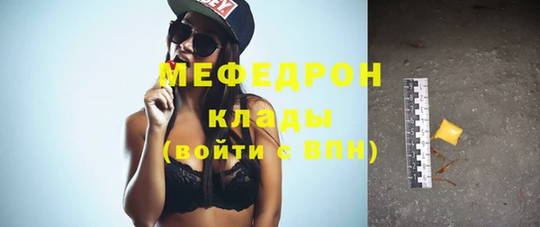 мдпв Каменка