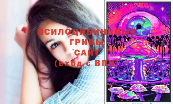 МДПВ Каменногорск