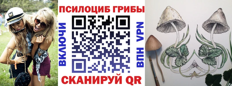купить   Мурино  Псилоцибиновые грибы ЛСД 