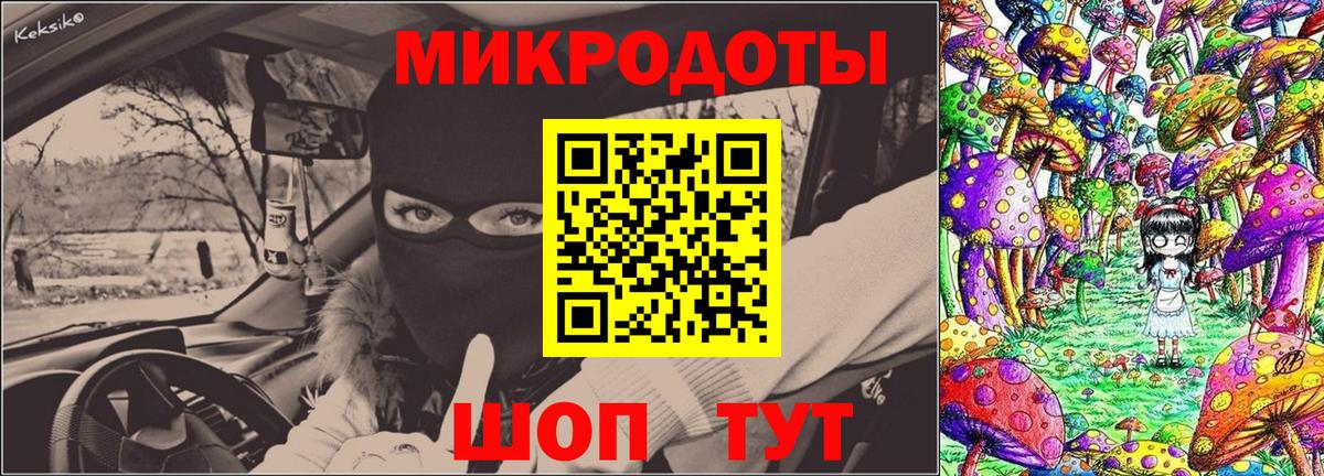 что такое   Псилоцибиновые грибы Magic Shrooms  Вход с VPN  Мурино  Галлюциногенные грибы Psilocybe 